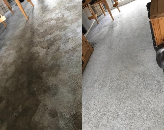 Carpet Cleaning Results
